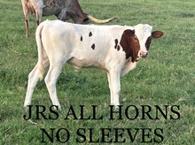 JRS All Horn No Sleeves